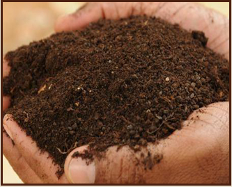 Organic Manure Organic Manure